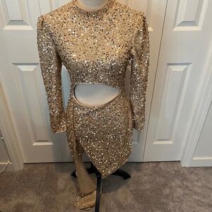 Francheska Esguerra size 4 sequin dress